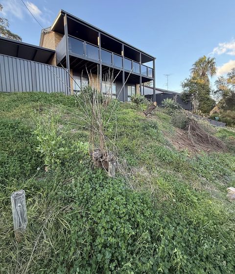 Overgrown sloping backyard before works, Hawkesbury NSW